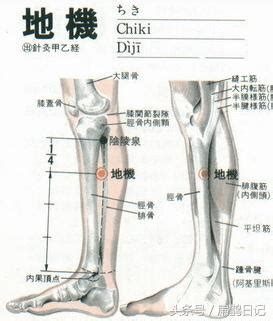 地經穴|人體穴位大全——地機穴：月經不調、痛經、乳腺炎等。